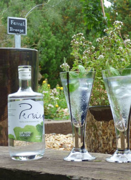 Lime and mint Gin garnish at Auld Post Office B&B